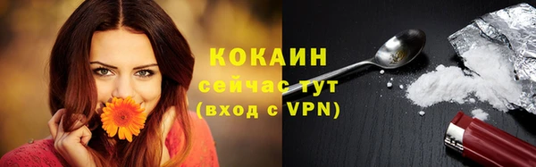 ALPHA PVP Богданович