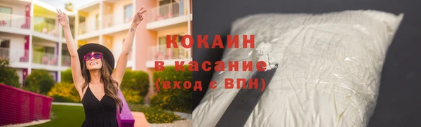 spice Богородск