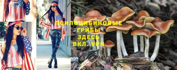 ALPHA PVP Богданович