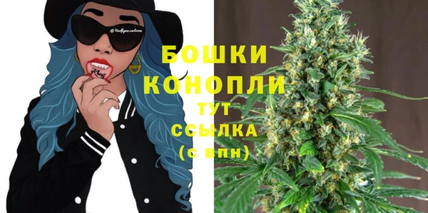 spice Богородск