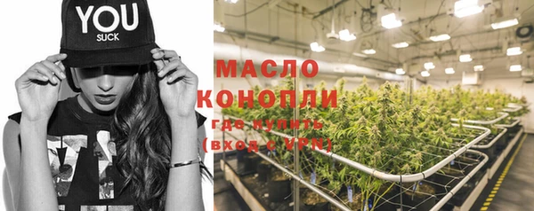 spice Богородск