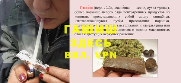 spice Богородск